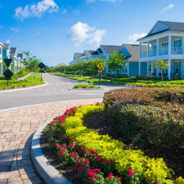 Landscaping done by The Elite Group in Coral Springs Florida