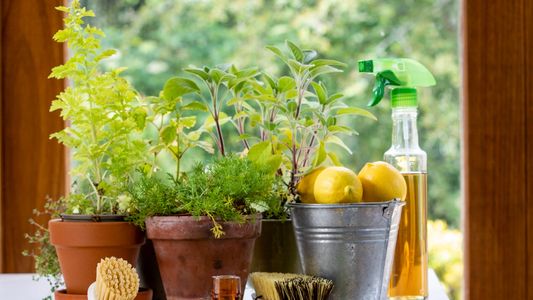 Herbs, lemons, and cleaning supplies arranged on a wooden crate by a window.