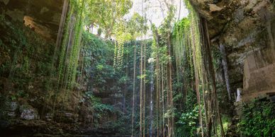 Sunlight streams into a lush cenote with clear turquoise water and hanging vines.
