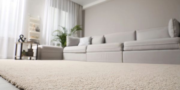 Cozy beige carpet in a modern living room with a gray sofa and natural light.