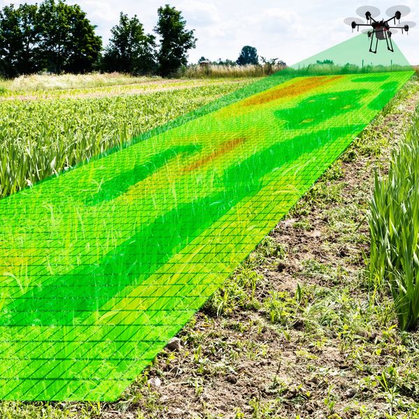 Drone scanning a green agricultural field for crop health monitoring.