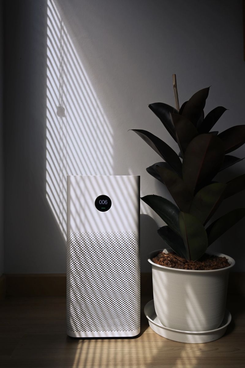 Air purifier and houseplant in living room. Healthy Wellness life and Air Pollution Concept.