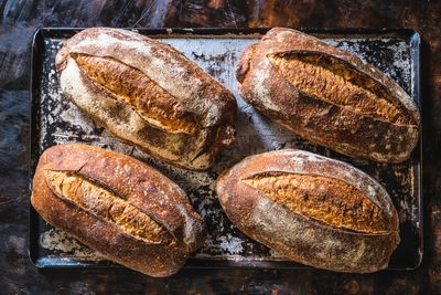 Four freshly baked rustic loaves of bread on a baking tray.
