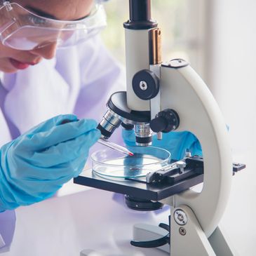 GREEN CHEMISTRY 