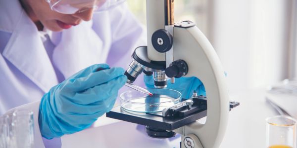 Científica trabajando con microscopio y platillo de cultivo.
