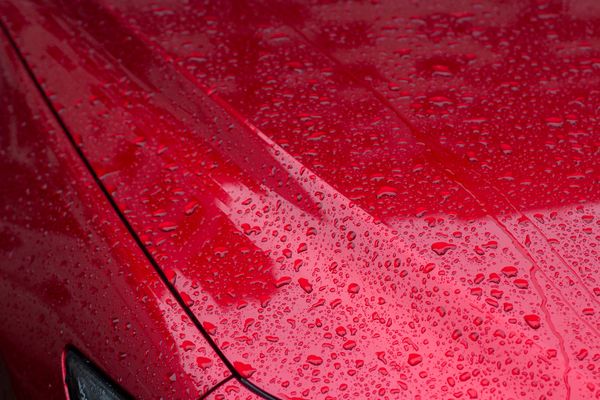 Water beading on the hood of a red automobile/car.