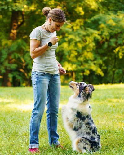 A handler gestures a "sit" cue while her attentive Australian Shepherd sits in front of her.