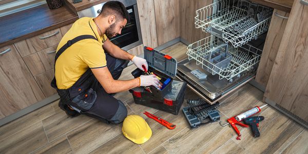 Dishwasher repair.
