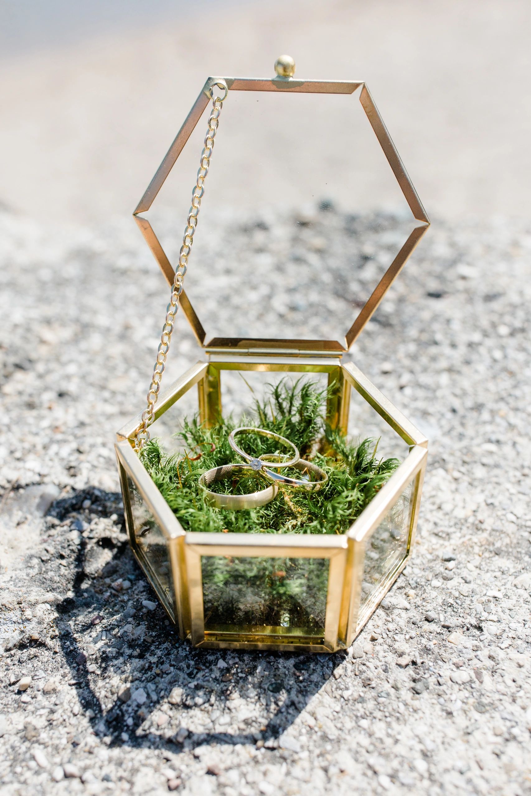 Wild Elopements Packages: Inclusions & Add-Ons Explained