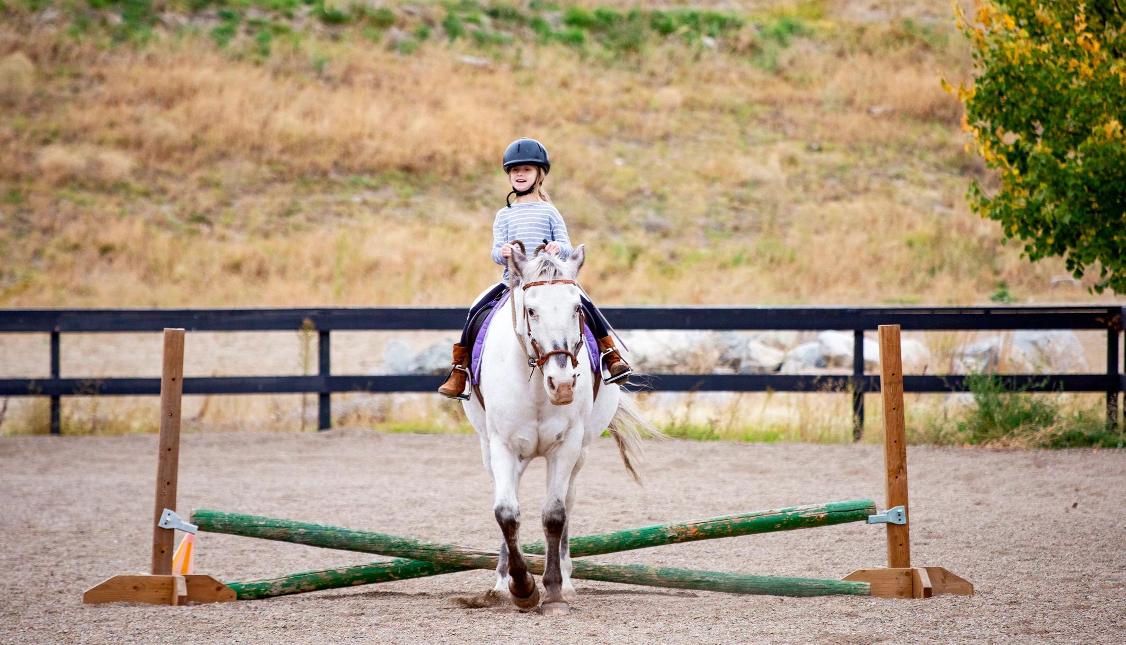 The clermont riding school