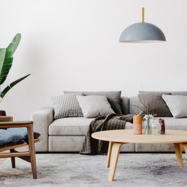 Modern living room with gray sofa and wooden coffee table.