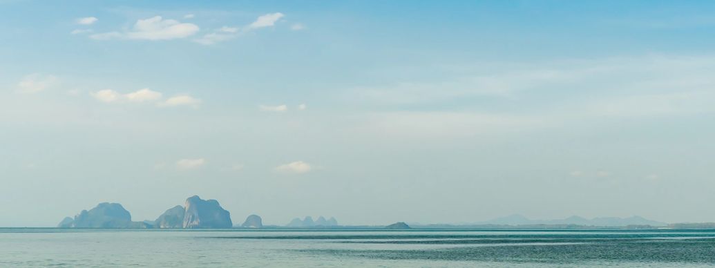 Sara, Artistic Director.