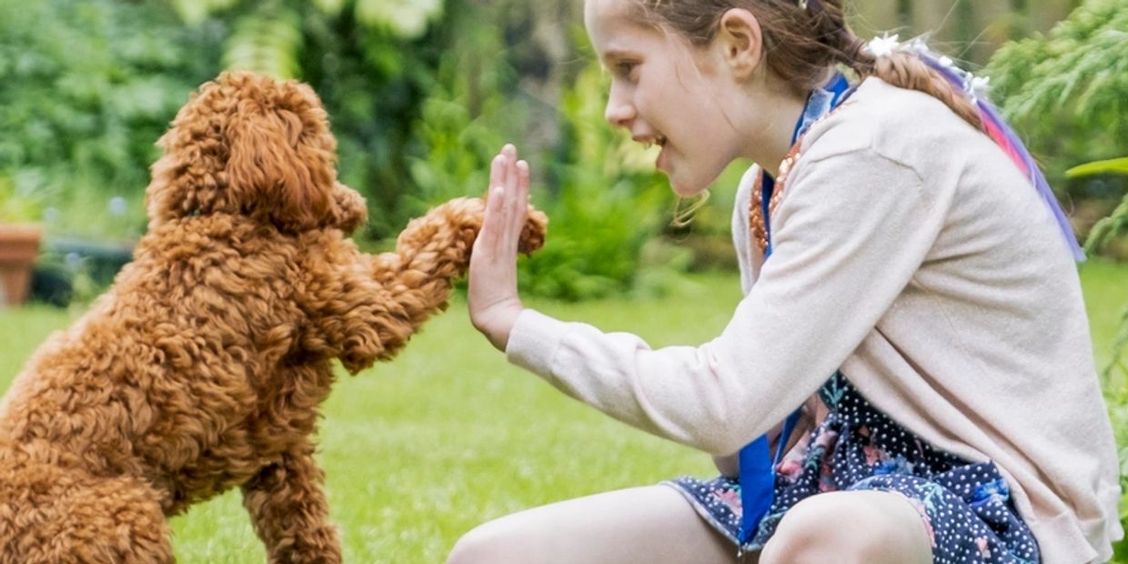 Girl giving a high-five to a dog outdoors.