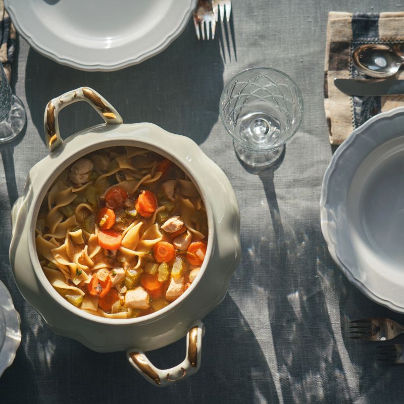 Chicken Noodles Soup with Fresh Vegetables