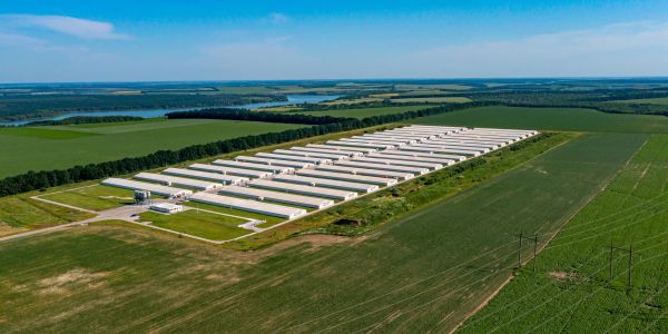 Large agricultural facility with multiple long buildings.