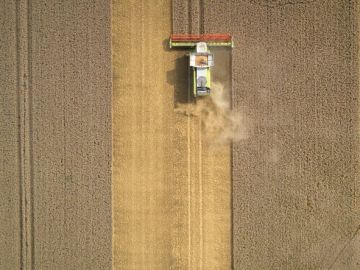 Aerial view of a harvester in a golden wheat field.