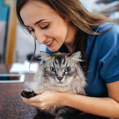 Woman lovingly holding a fluffy cat.