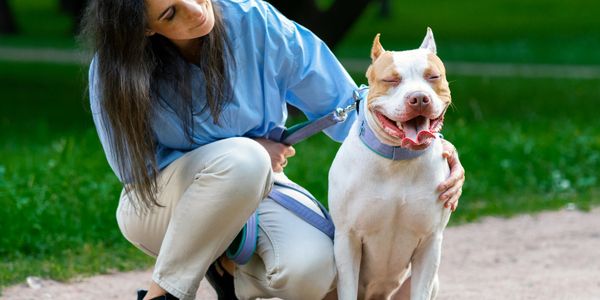 Woman crouches beside smiling dog on a park path during a walk.