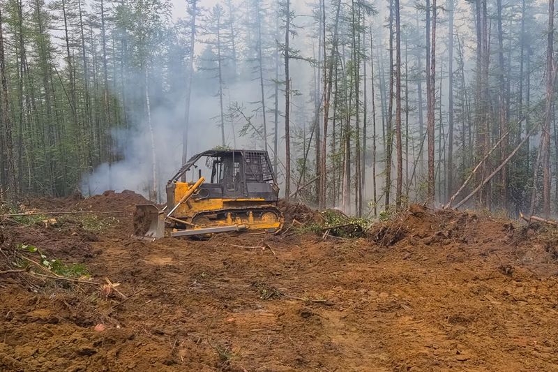 The bulldozer makes a lot into the forest. Fire prevention measures, the creation of a clearing of the forest to counter the spread of fire.