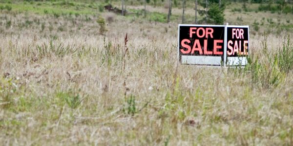 A grassy field with two 'For Sale' signs indicating the land is available for purchase.