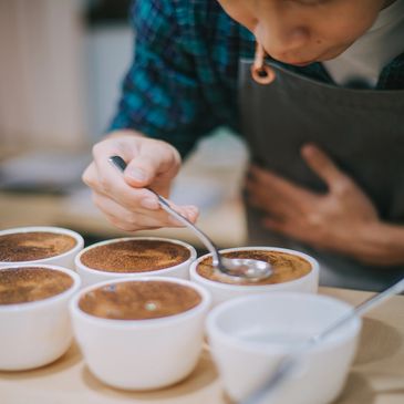Person tasting or testing multiple cups of coffee or similar beverage.