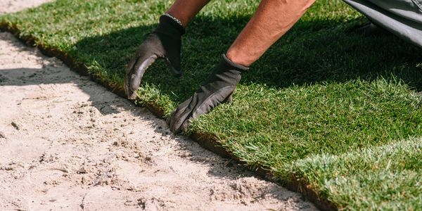 A person installing sod on prepared soil while wearing gloves.