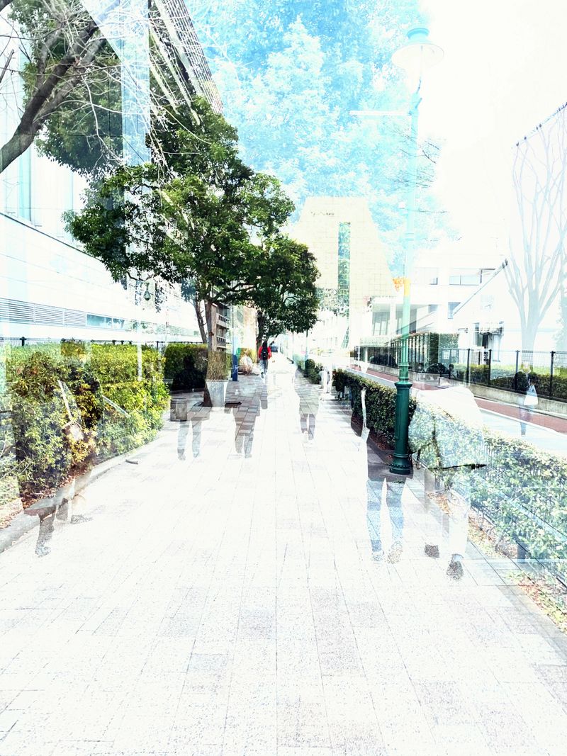 A multiple-exposure photograph of the suburbs of Tokyo created based on sidewalks, roadside trees, and green roads.