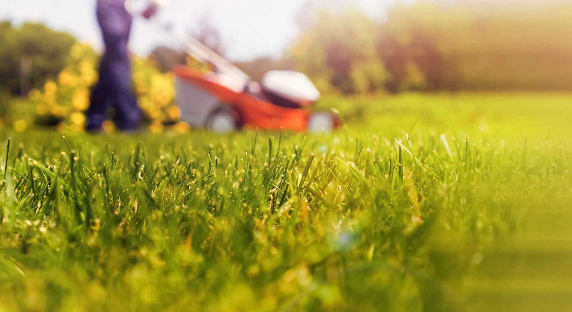 Close-up of green grass with a person mowing the lawn in the background.