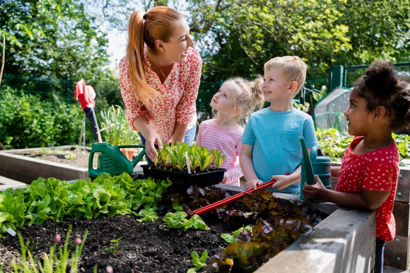 A low angle view of a teacher and her small child students learning about soil and the ecosytem in the school garden in the schoolyard in Hexham in the North East of England. They are helping water the plants and learning all about plants and growth.