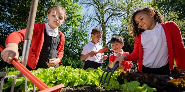 Children gardening together on a sunny day, tending to green plants.
