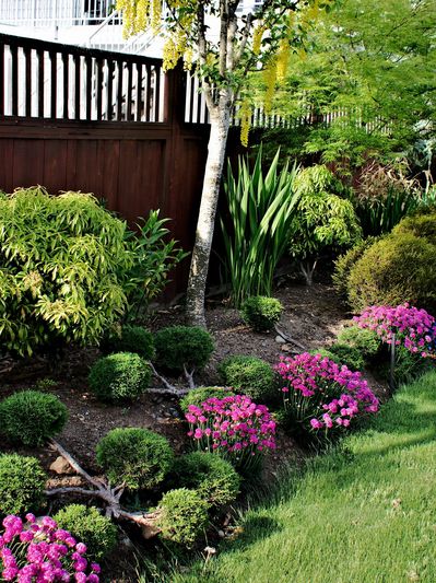 A well-maintained garden with trimmed bushes and colorful flowers along a wooden fence.