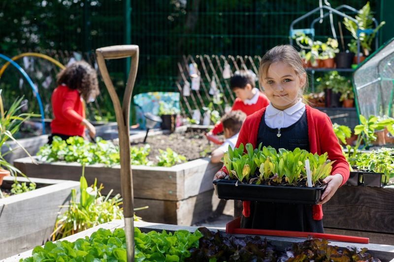 A front view of a little girl holding up a tray of seedlings and looking towards the camera. She is smiling and is looking forward to being involved in helping in the school garden in Hexham in the North East of England.