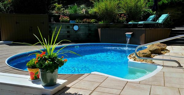 A serene backyard pool with vibrant plants and loungers.