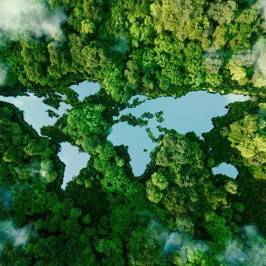 Aerial view of a forest with water bodies shaped like a world map.