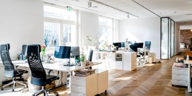 Bright, modern office space with desks, chairs, and plants by large windows.
