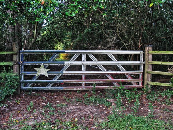 Metal gate painted with an American flag design blocks a wooded path.