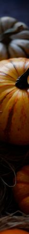 Close-up of a striped pumpkin with others blurred in the background.