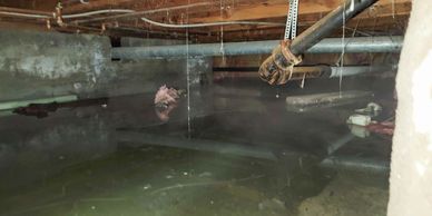🏚️ Flooded Crawl Space with Sewer Leak
A dark, low crawl space with standing murky water covering t
