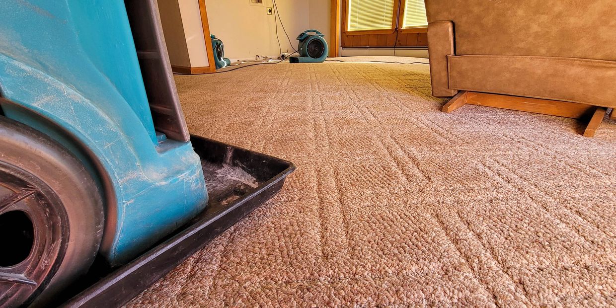 Large blue carpet cleaning machine on a carpeted floor.