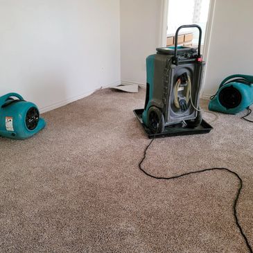 Drying of carpeted floors following water damage