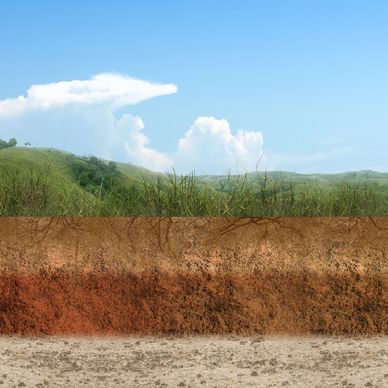 Cross-section of soil layers under a grassy landscape with a blue sky.