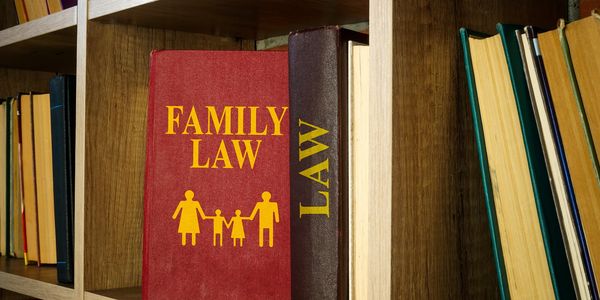 A red Family Law book on a wooden shelf among other books.