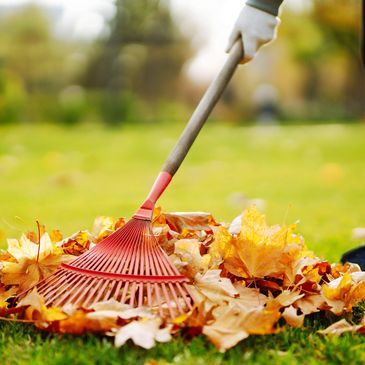 Leaf Blowing & Removal