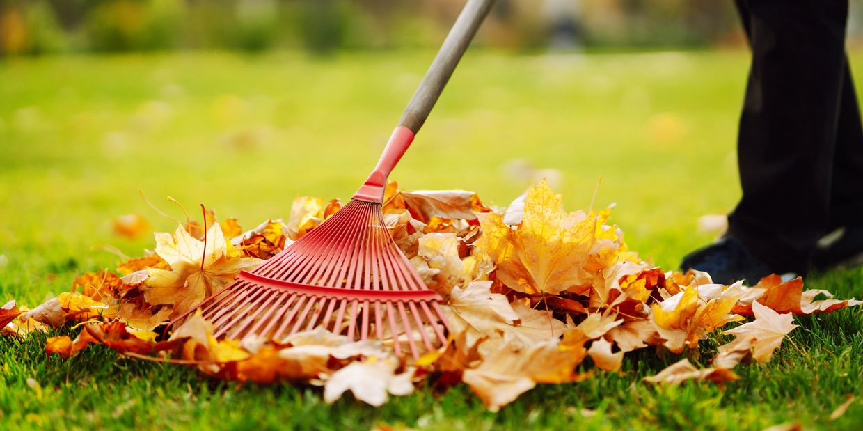 Raking leaves during a spring yard cleanup in Temecula, BluCrew Landscape clearing seasonal debris. 