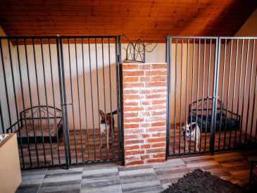 Two dogs in separate indoor kennels with brick divider.