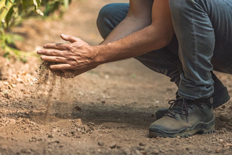 Expert hand of farmer checks quality of soil before sowing