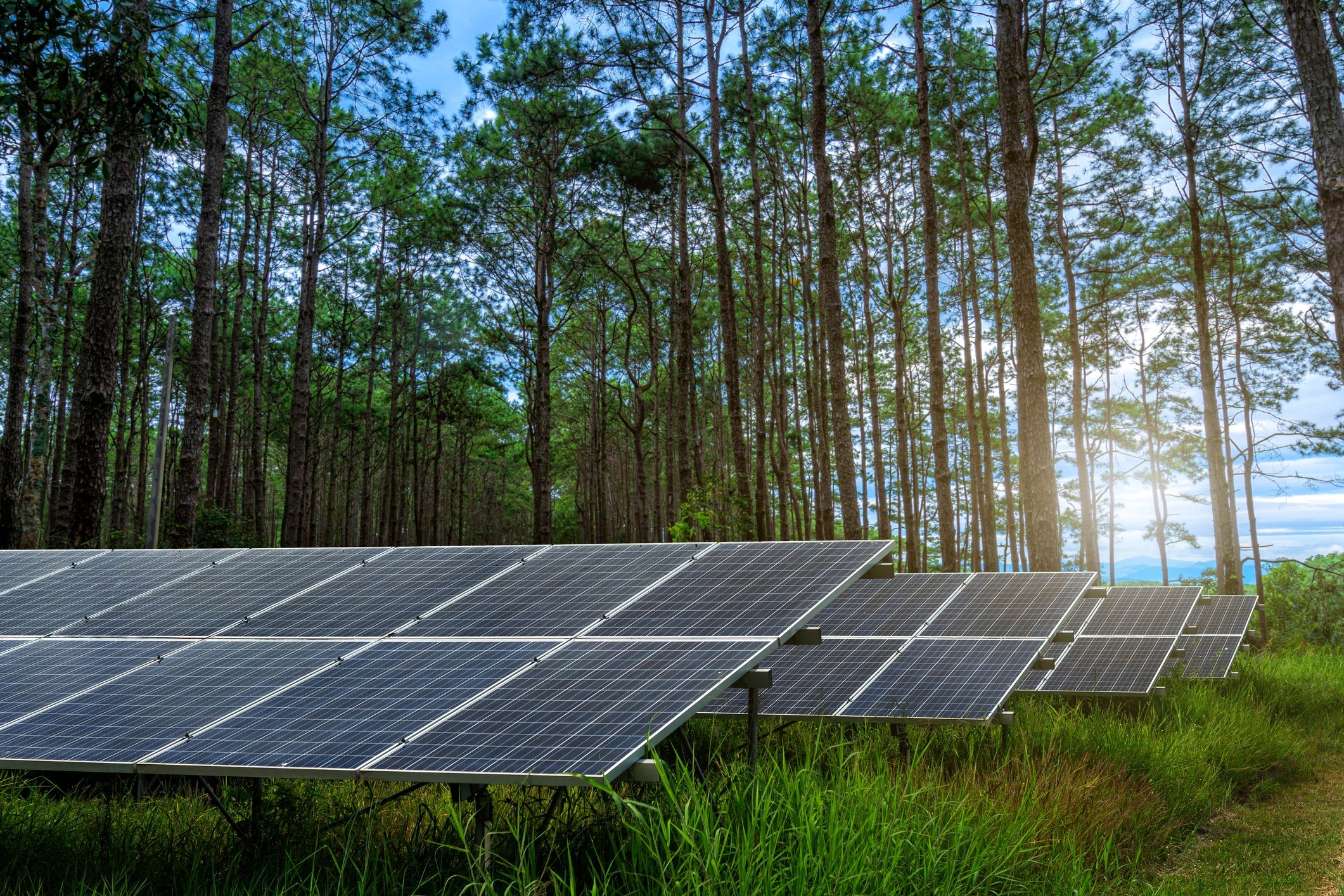 Fortified Solar & Electric, LLC cover