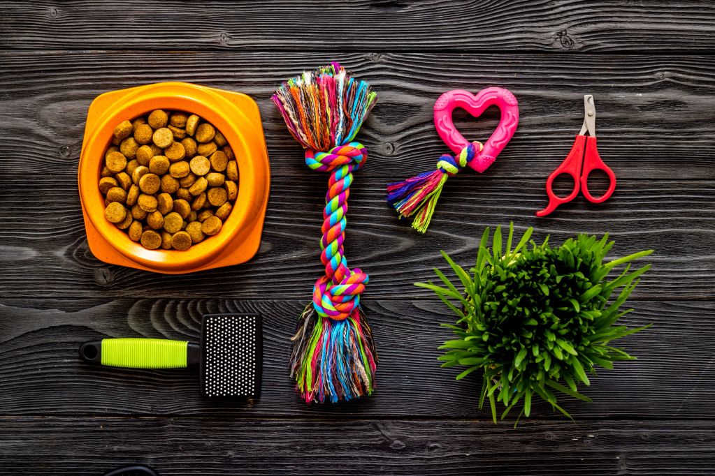 Pet care items including food, toys, grooming tools, and plant.