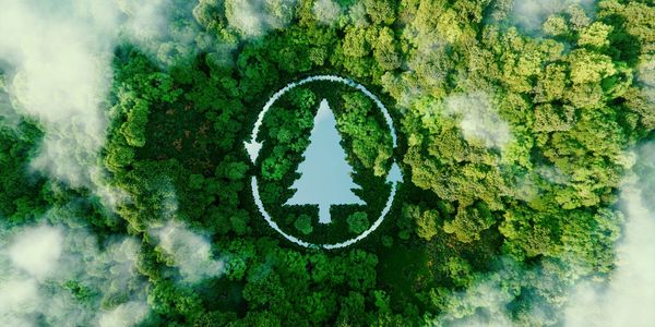 Protecting the land from fire and flood, recycling organic debris into compost
