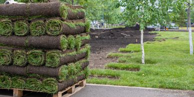 Sod pallet Sod delivered Sod near me Kentucky Bluegrass Sod Grass Landscape Sod New Lawn Green 